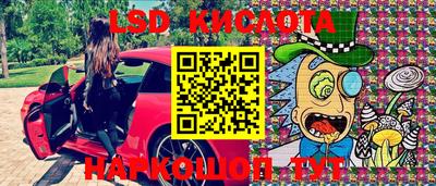 стафф Берёзовский