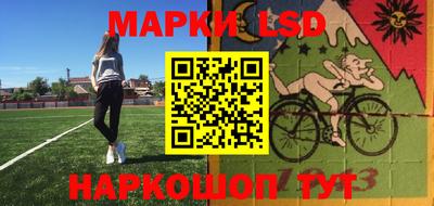 шишки Бийск