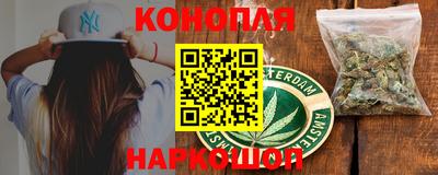 шишки Бийск